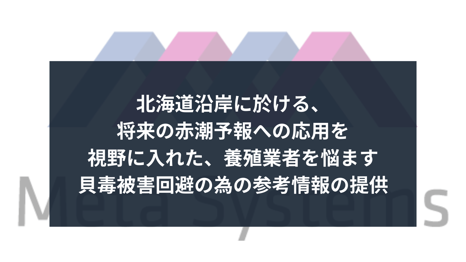 「経済産業省　令和6年度 衛星データ利用環境整備・ソリューション開発支援事業」参画しました。